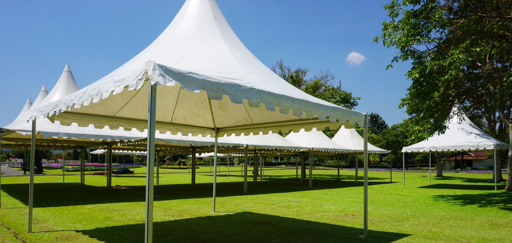 Image Gallery tec-nut.com for Dorking Marquee Sales & Rental -  Easy Website, Best Website Builder, New Website, Simple Website,  Tent rentals,  Party rentals, New Company, easy website, Free Website,  Event planning, Event rentals,  Outdoor events